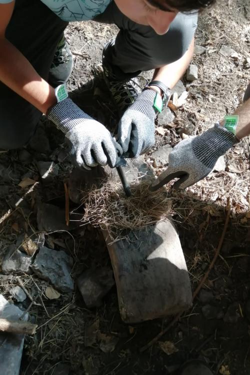 Due ragazze stanno provando ad accendere un fuoco con l'acciarino