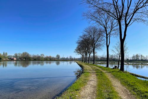 Risaie allagate della Lomellina, vicino Pavia in Lombardia