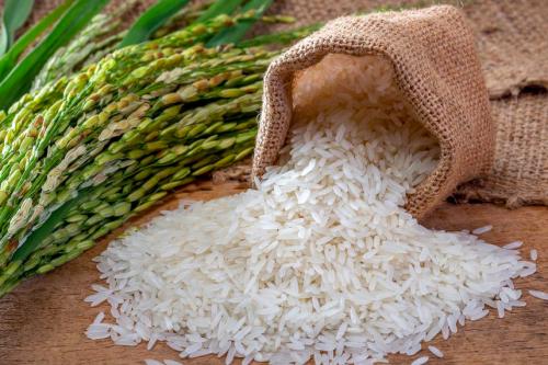 Sacchetto di juta con piantina di riso germogliato