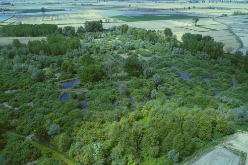 Parco naturale protetto la Garzaia di Celpenchio in Lomellina poco distante da Pavia in Lombardia visto dall'alto