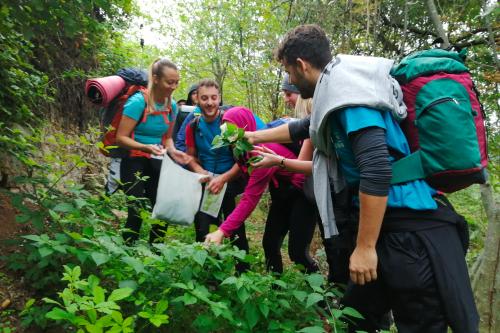 Dei ragazzi che imparano a riconoscere e raccogliere erbe commestibili durante il corso di sopravvivenza a poca distanza da Brescia sul Lago di Garda in Lombardia