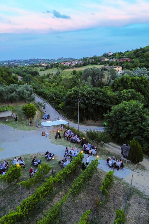 Degustazione di vini e di prodotti del territorio tra i filari a Stradella in Oltrepo Pavese in Lombardia