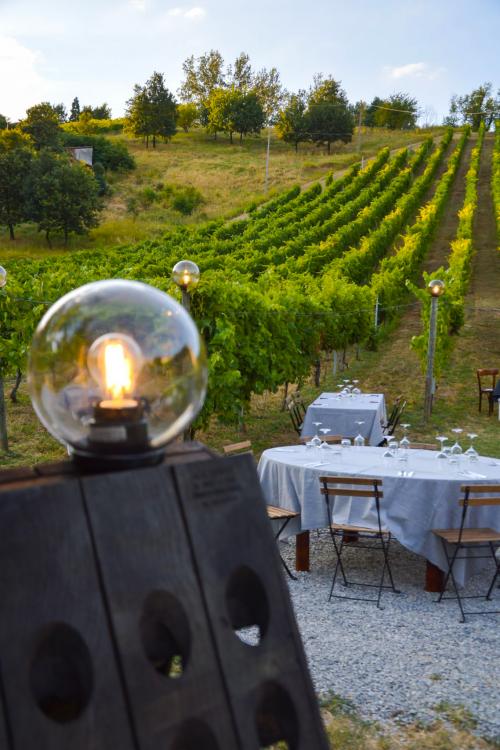 Location della degustazione all'aperto durante una degustazione di vini in Oltrepo Pavese in Lombardia