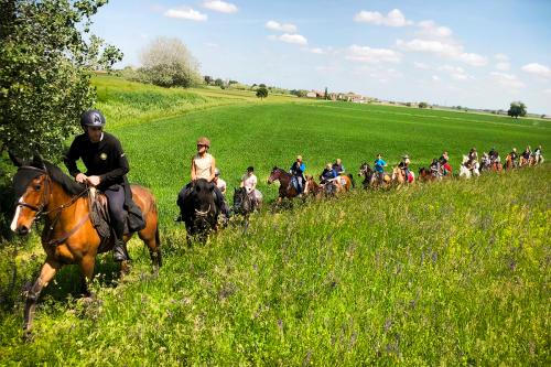 Passeggiata a cavallo a Rivolta d'Adda in Lombardia vicino Cremona