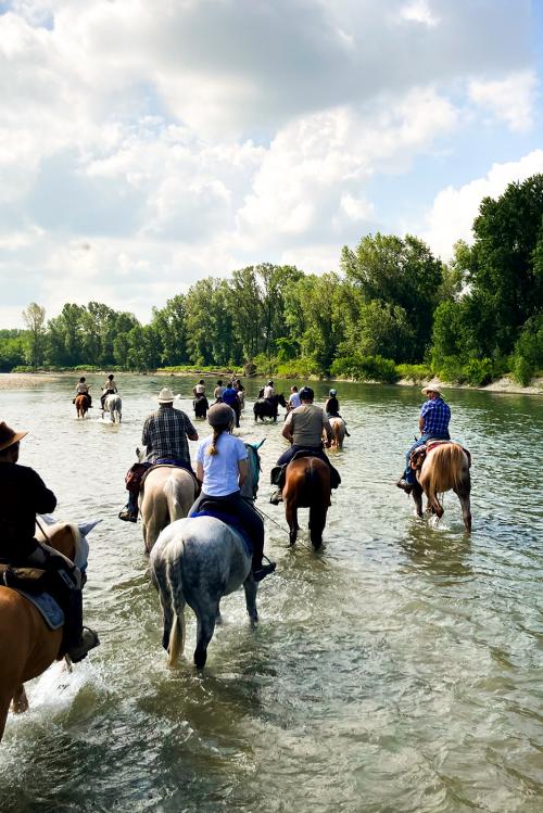Passeggiata a cavallo lungo il fiume Adda vicino Cremona in Lombardia