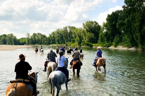 Passeggiata a cavallo nel fiume Adda in Lombardia vicino a Cremona