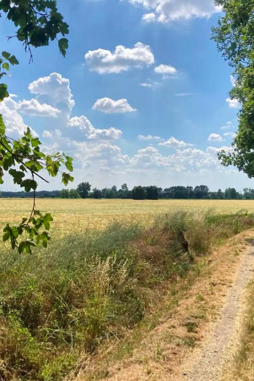 Territorio vicino a Cremona in Lombardia dove viene effettuata la passeggiata a cavallo con istruttori esperti