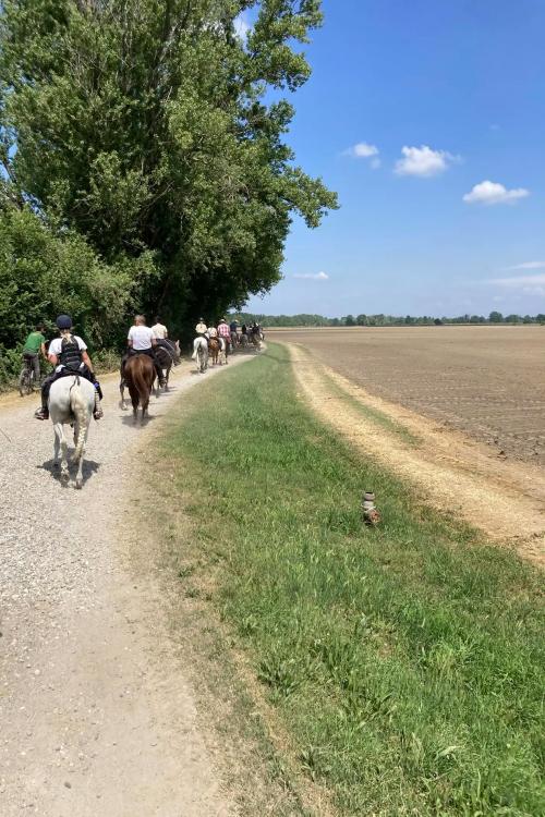 Un gruppo in sella a dei cavalli nella natura del Parco Adda in Lombardia per una passeggiata