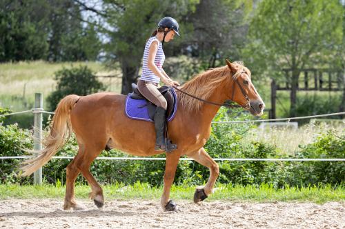 Una giovane ragazza impara ad andare al trotto durante una lezione di equitazione a Rivolta d'Adda in Lombardia