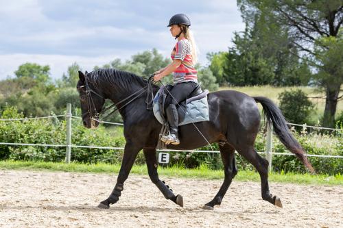 Una ragazza in sella ad un cavallo nero impara ad andare al passo durante la lezione di equitazione in Lombardia vicino a Cremona