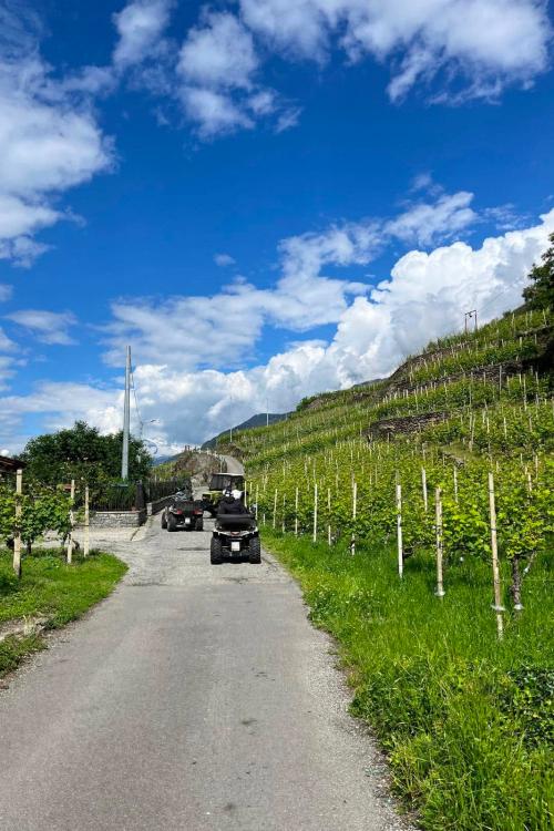 Tour panoramico in quad tra vigneti e meleti della Valtellina vicino a Sondrio in Lombardia